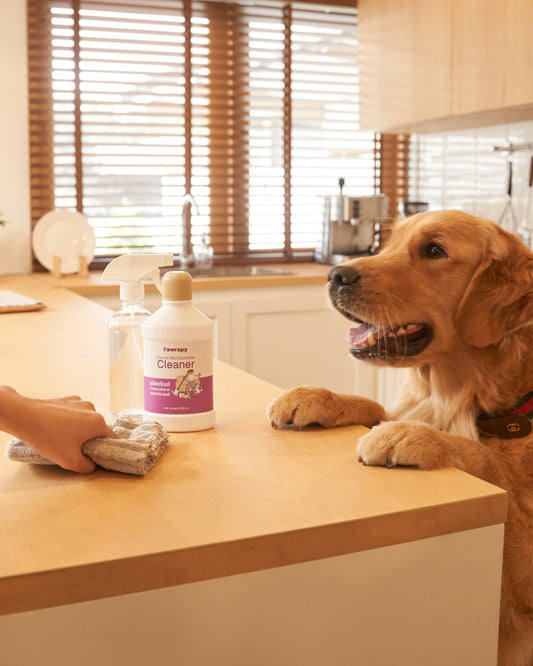 Beyond Just Years: The Le Bubu Pets Guide to True Pet Longevity Through All-Natural Wellness