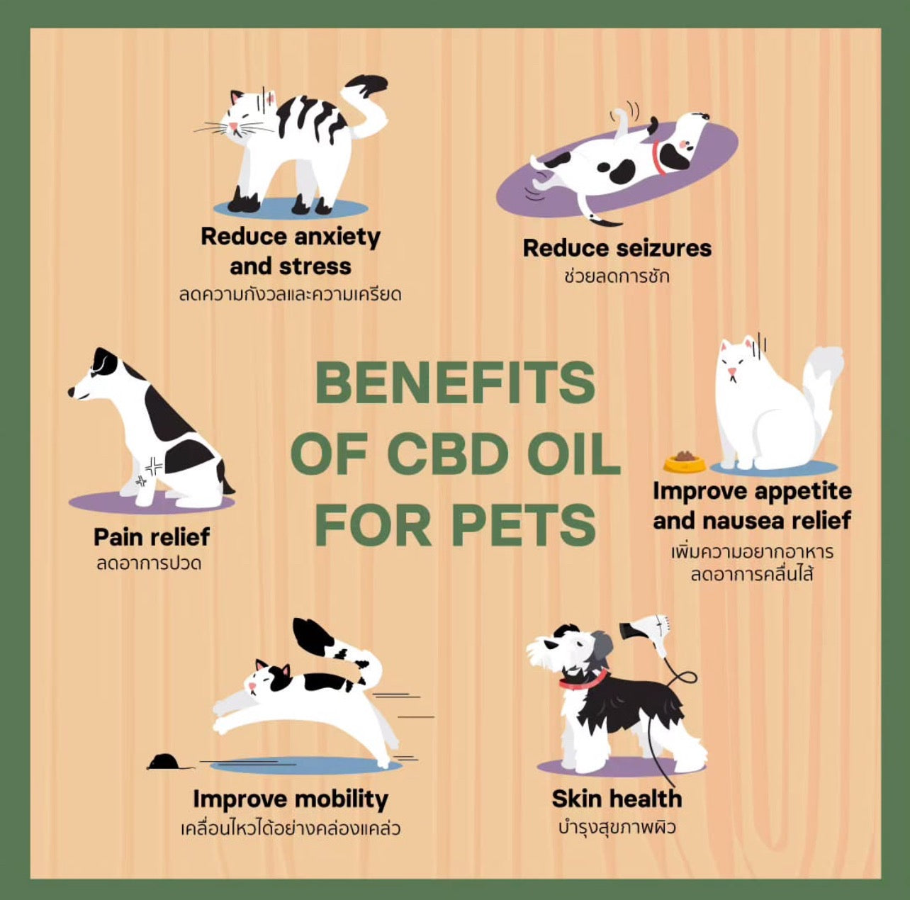 Pet Dee - Premium CBD Oil for Pets