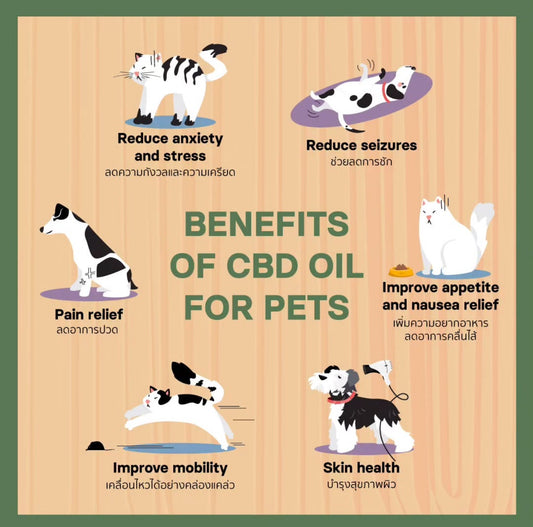 Pet Dee - Premium CBD Oil for Pets