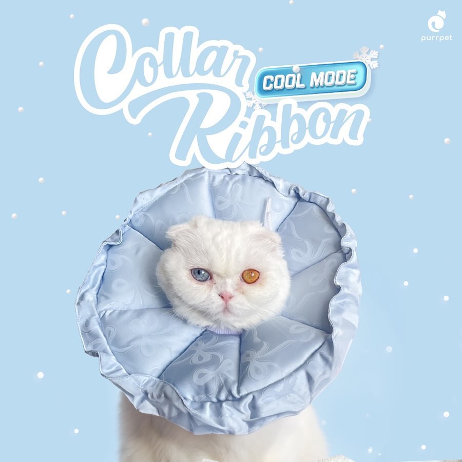 Purrpet - Collar Ribbon Cool Mode