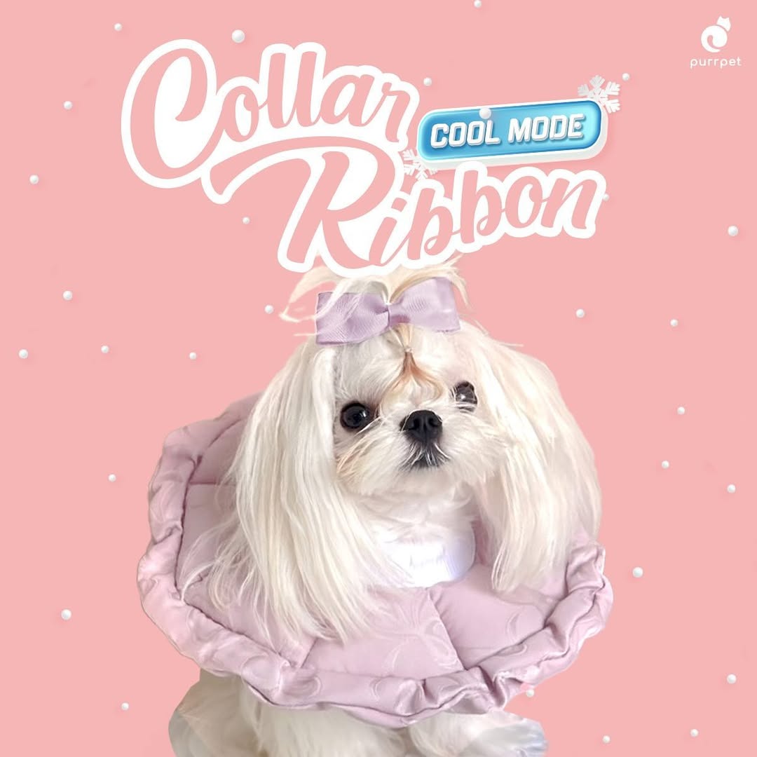 Purrpet - Collar Ribbon Cool Mode