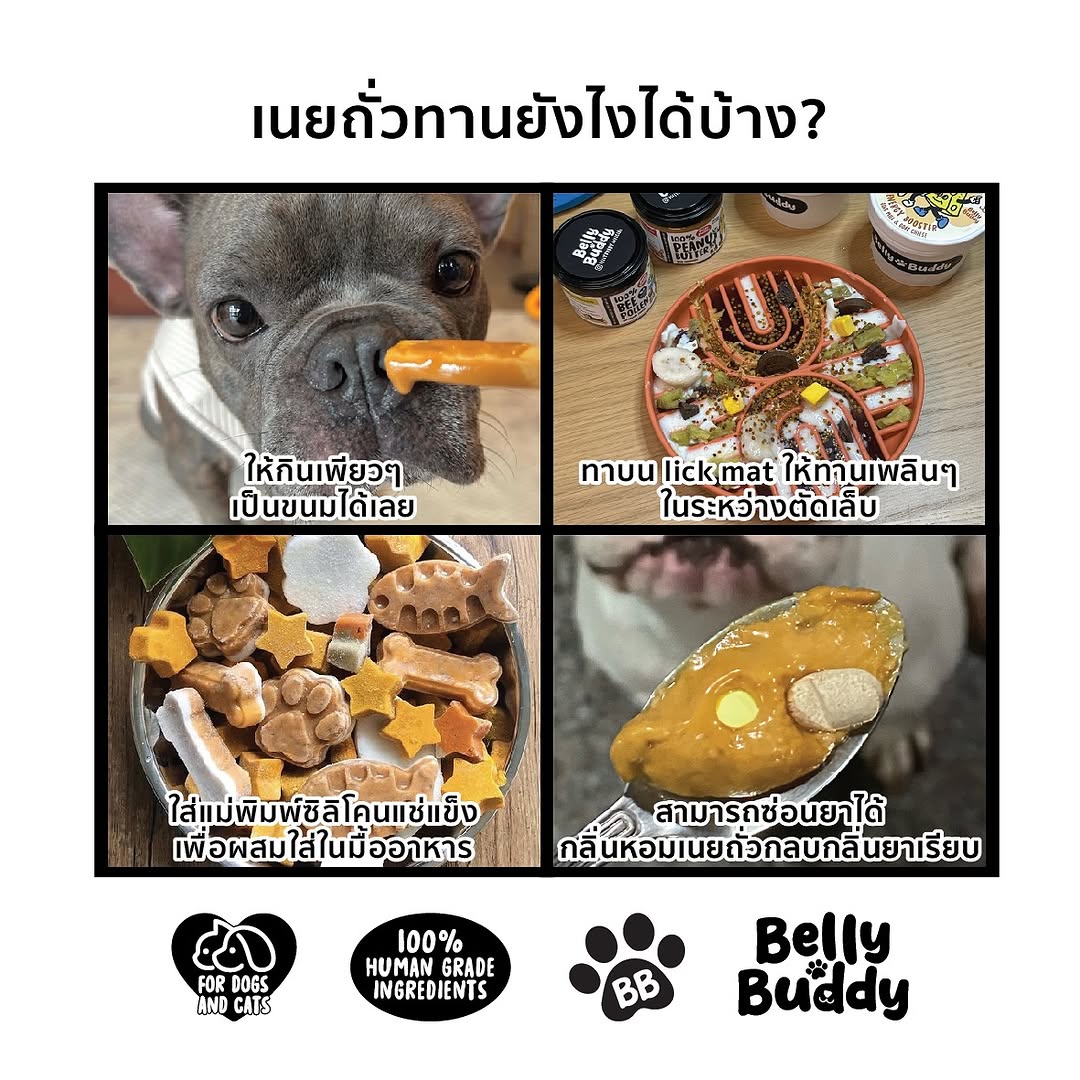Belly Buddy - Peanut Butter