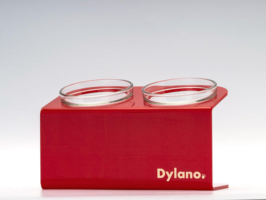 Dylano Studio - Double, Elevated Bowl