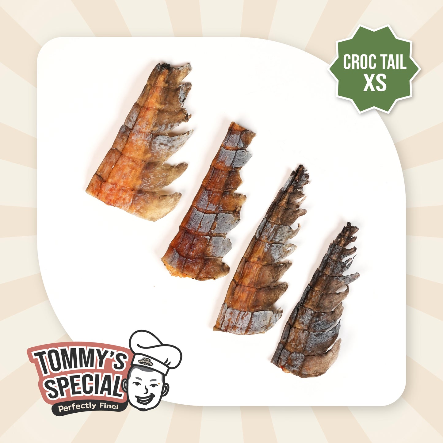 Hoya Barkery Tommy's Special Croc Tail (XS)