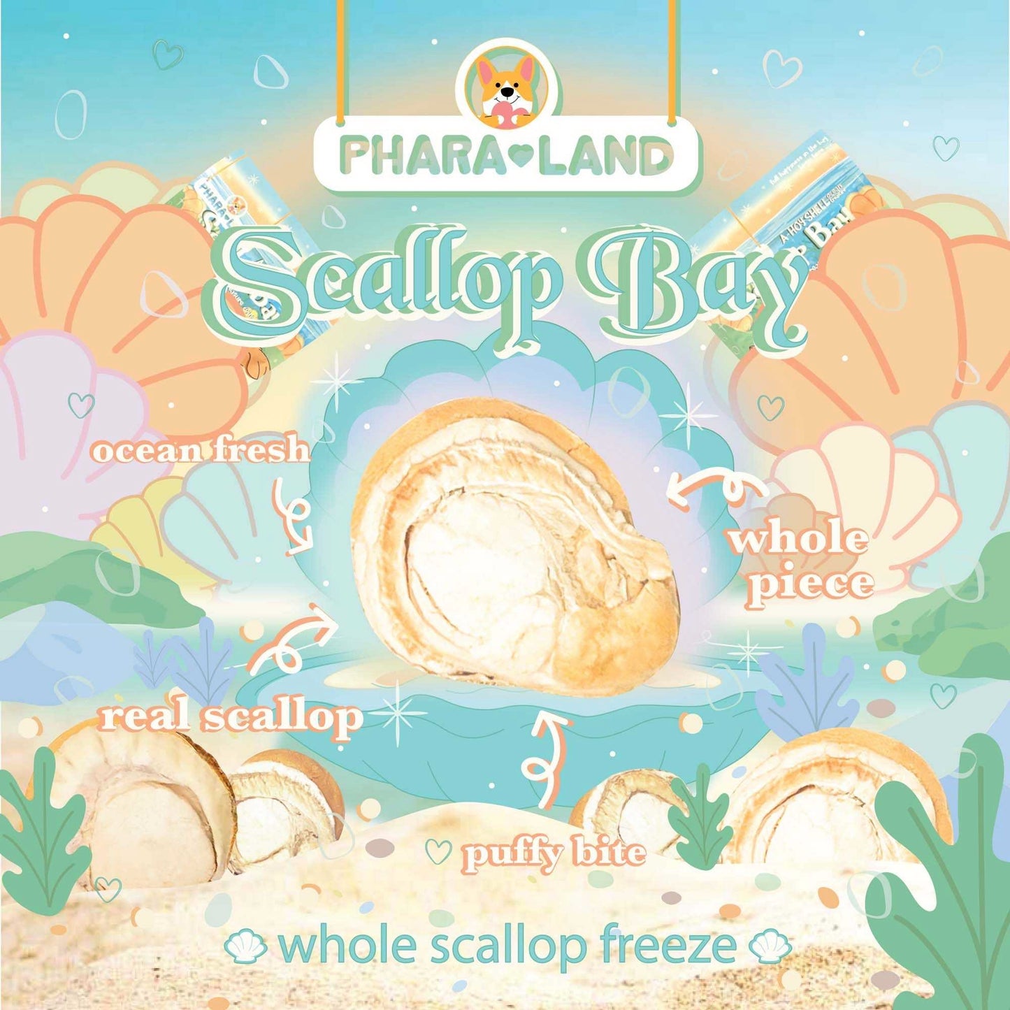 Pharaland - Scallops, Freeze-Dried