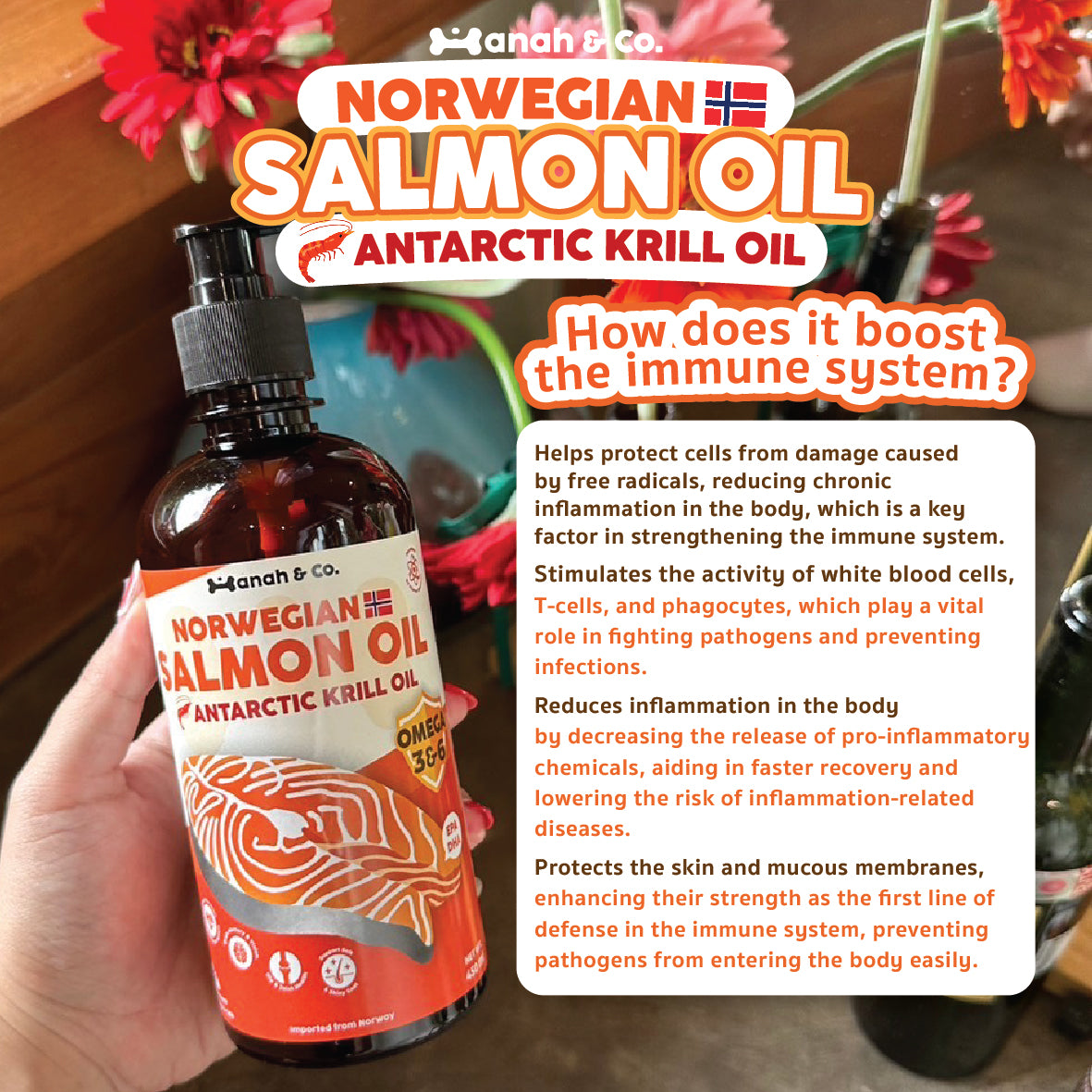 Hanah & Co - Salmon Krill Oil