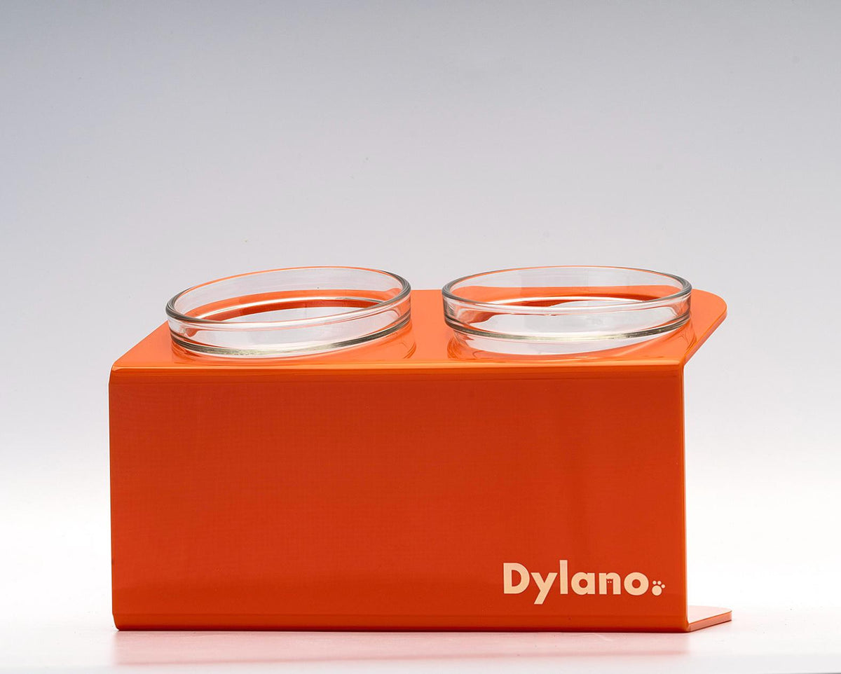 Dylano Studio - Double, Elevated Bowl