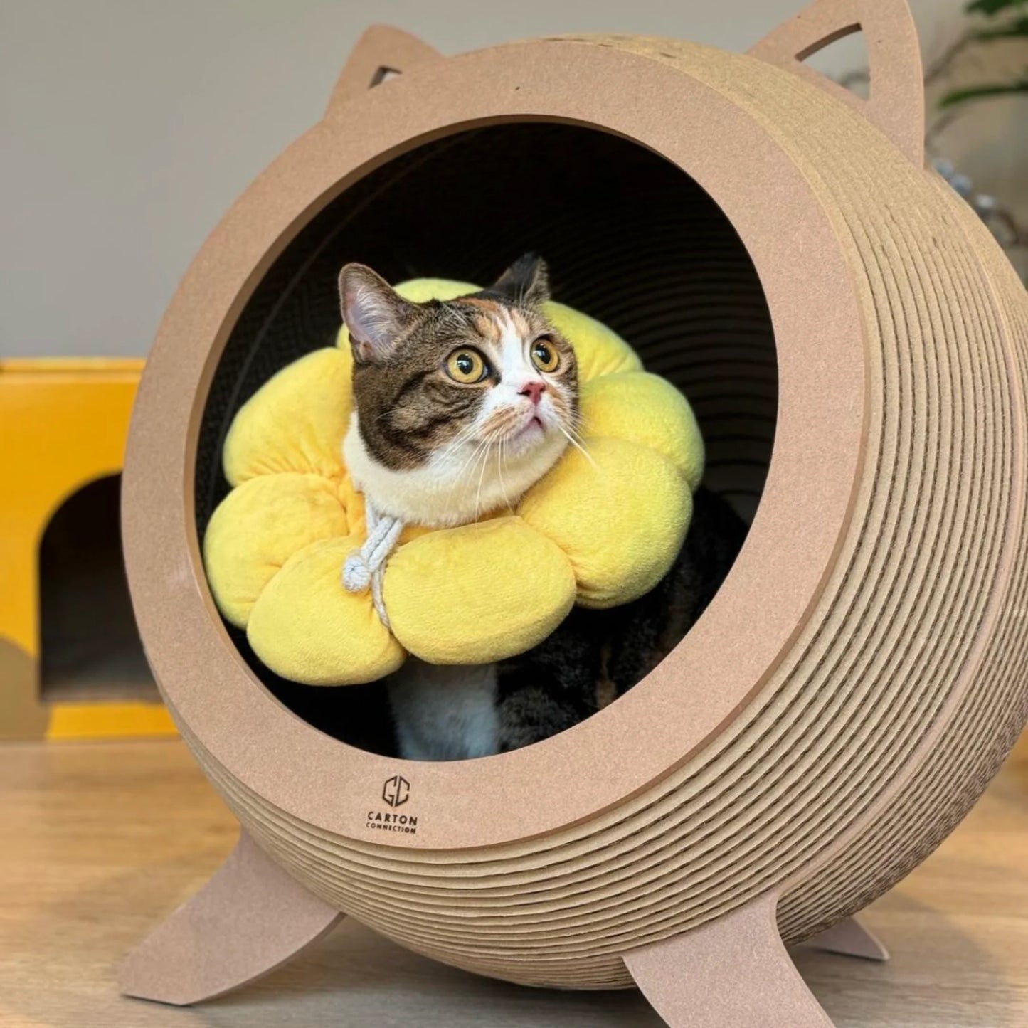 Carton Connection - Catosphere
