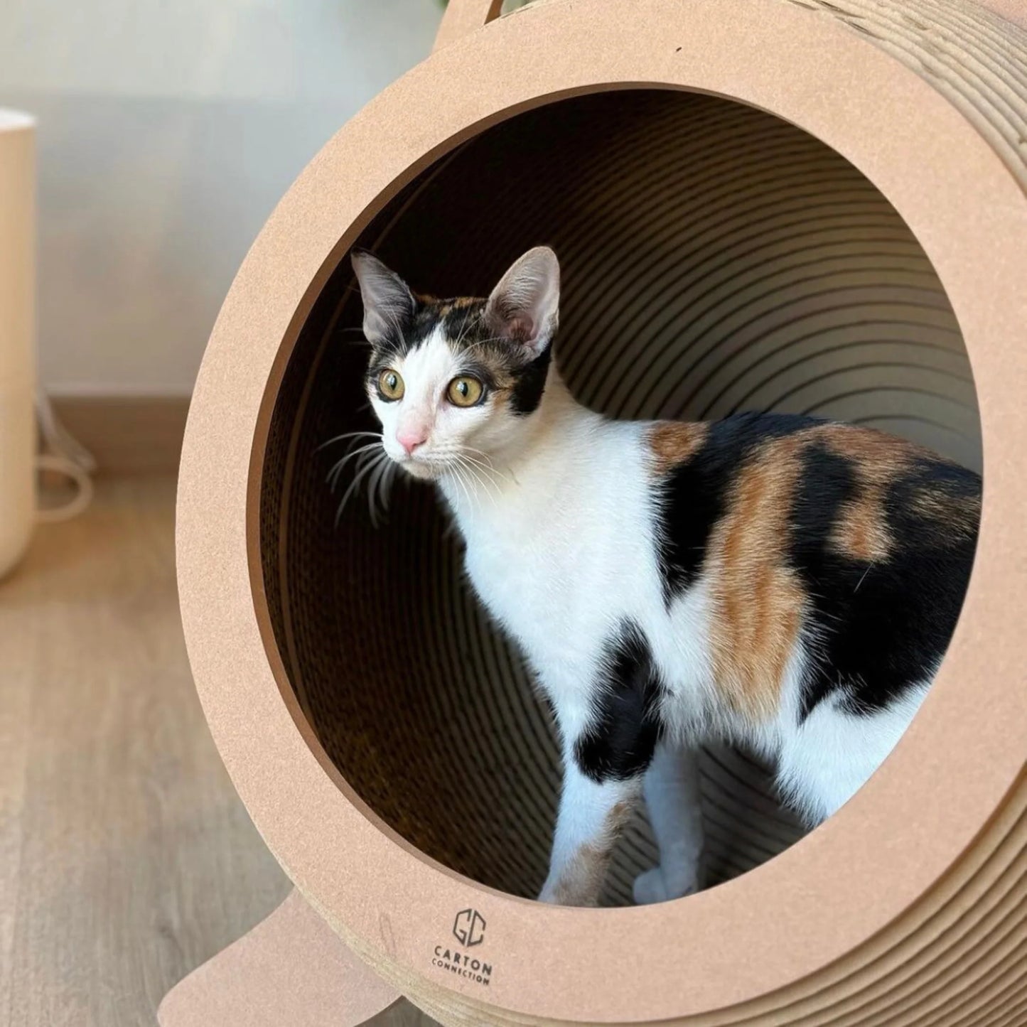 Carton Connection - Catosphere