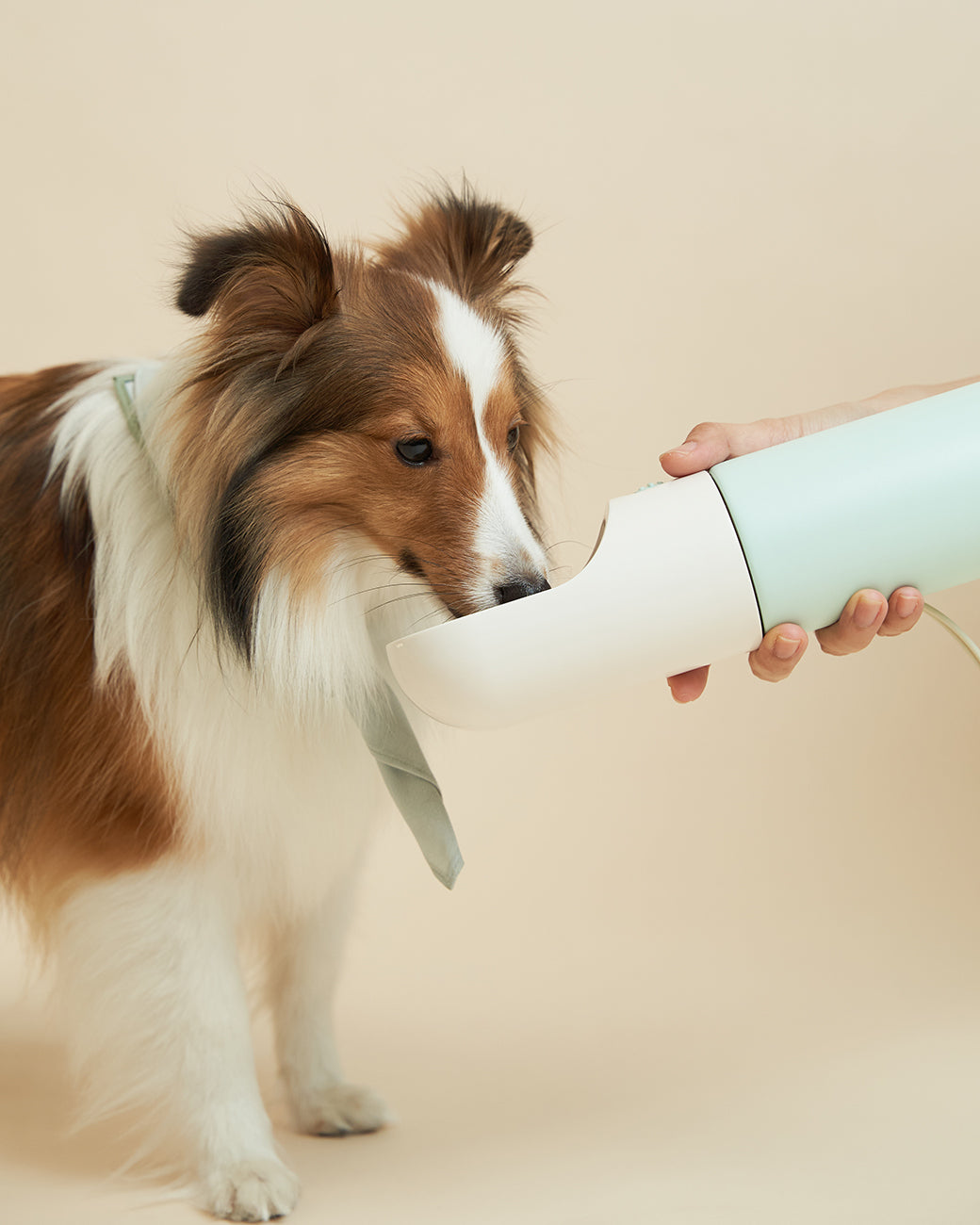 Oh Hello Travel Insulated Bottle