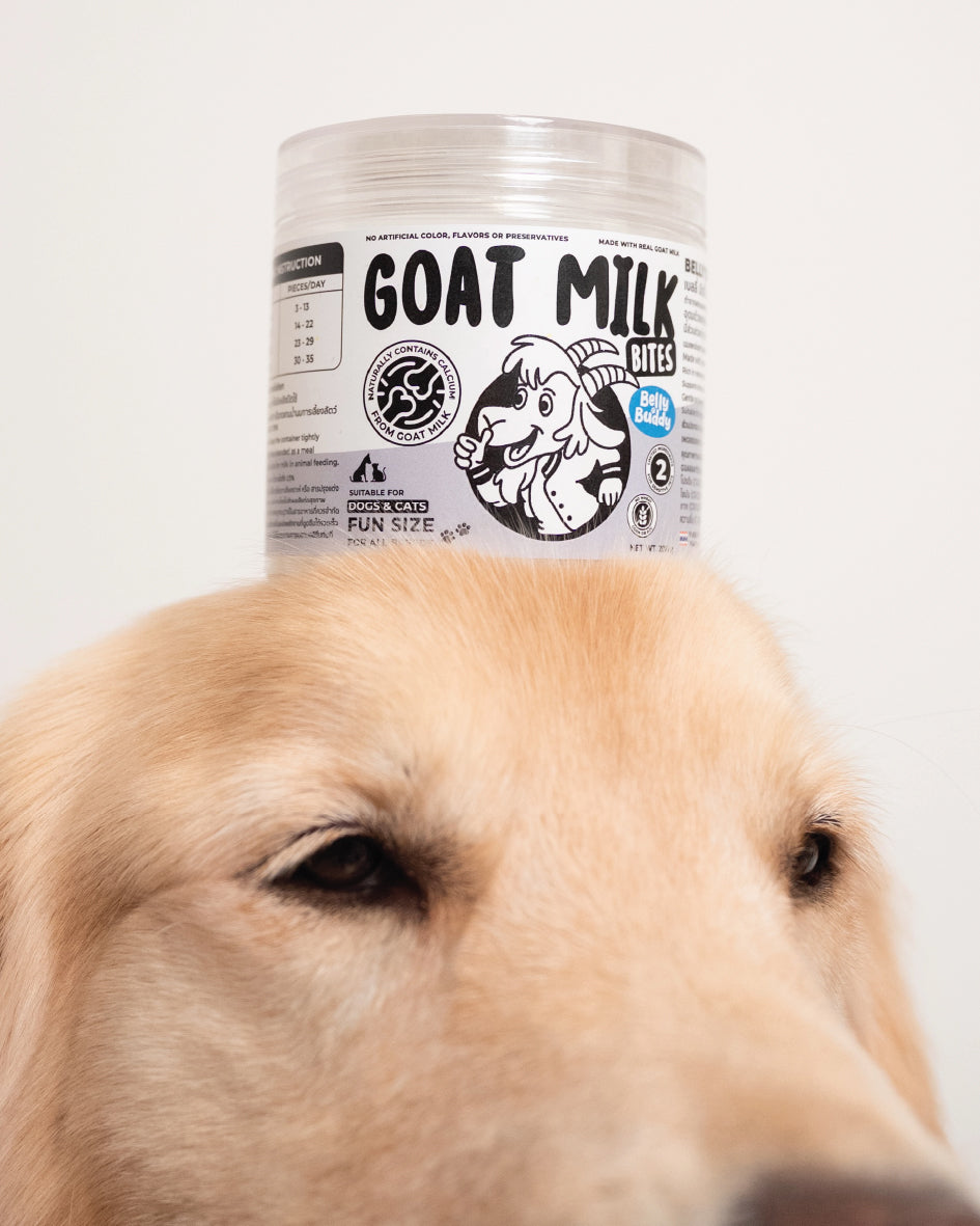 Le Bubu Pets Belly Buddy Goat Milk Bites for sensitive stomachs
