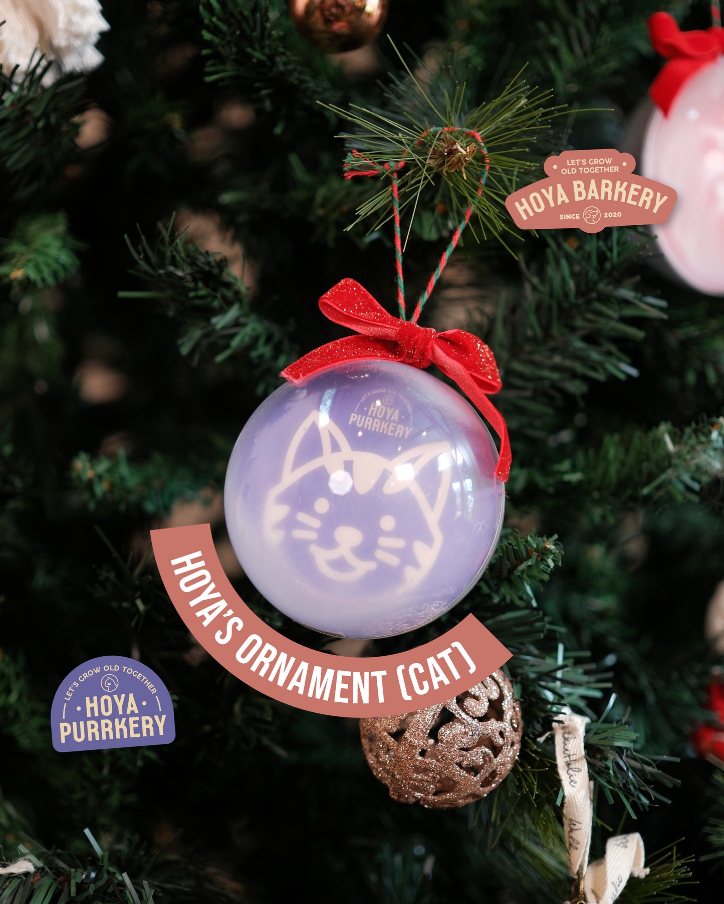 Hoya Barkery - Hoya's Ornament (Cat)