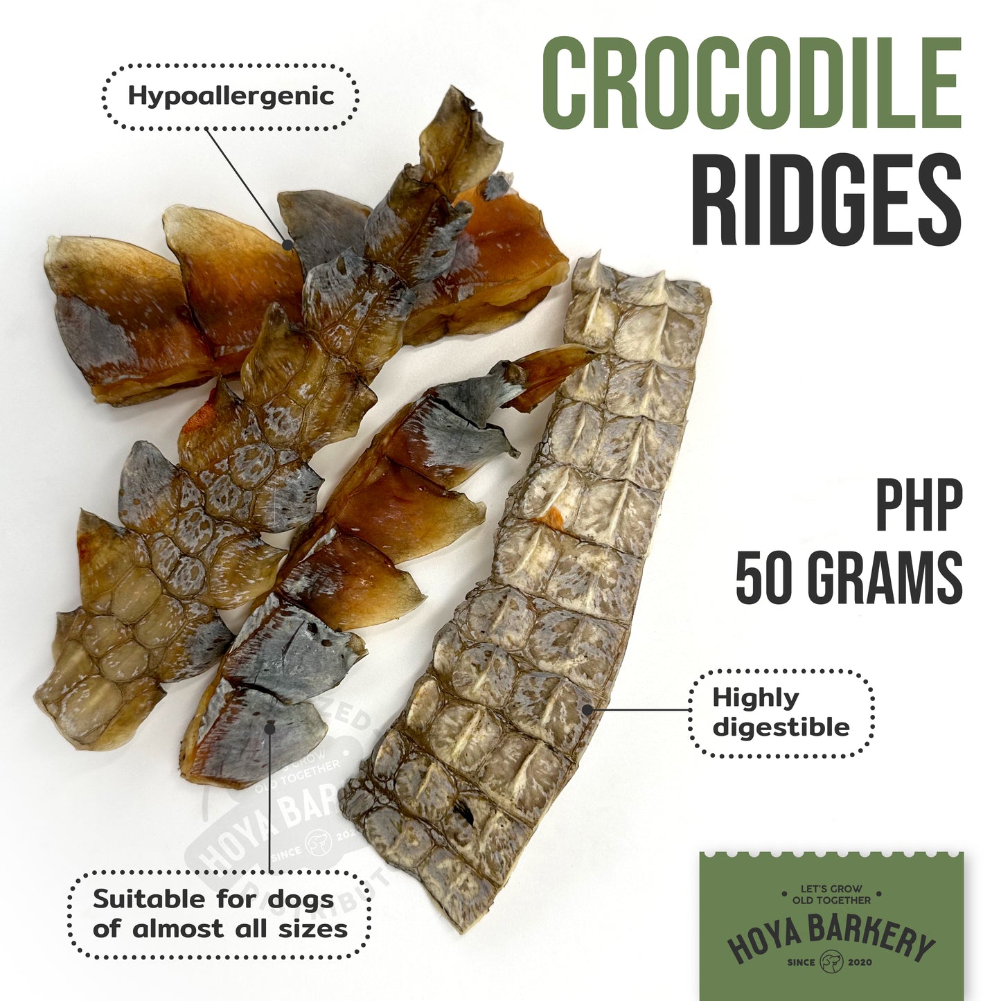 Hoya Barkery - Crocodile Ridges
