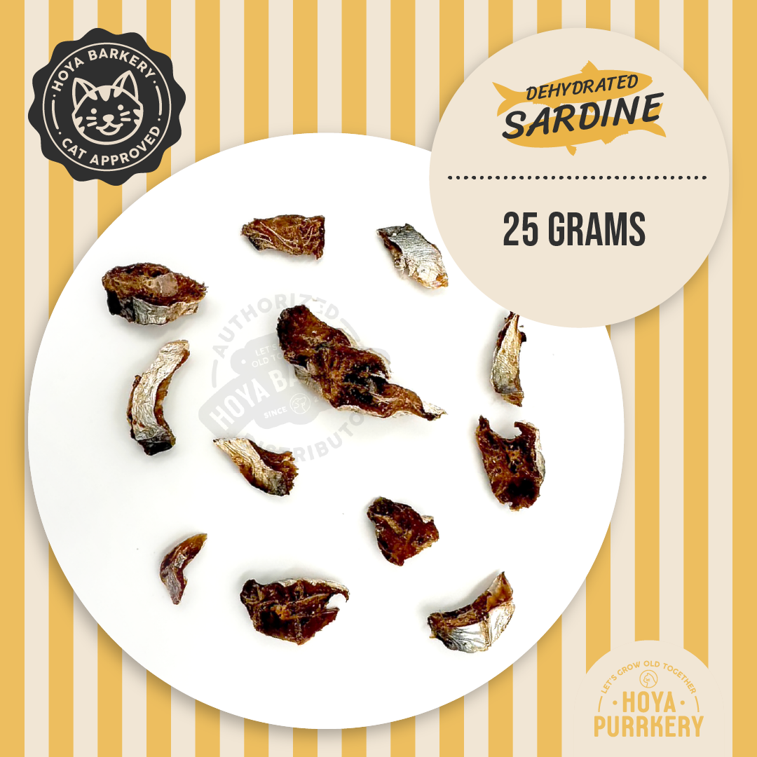 Hoya Purrkery - Sardine, 25g