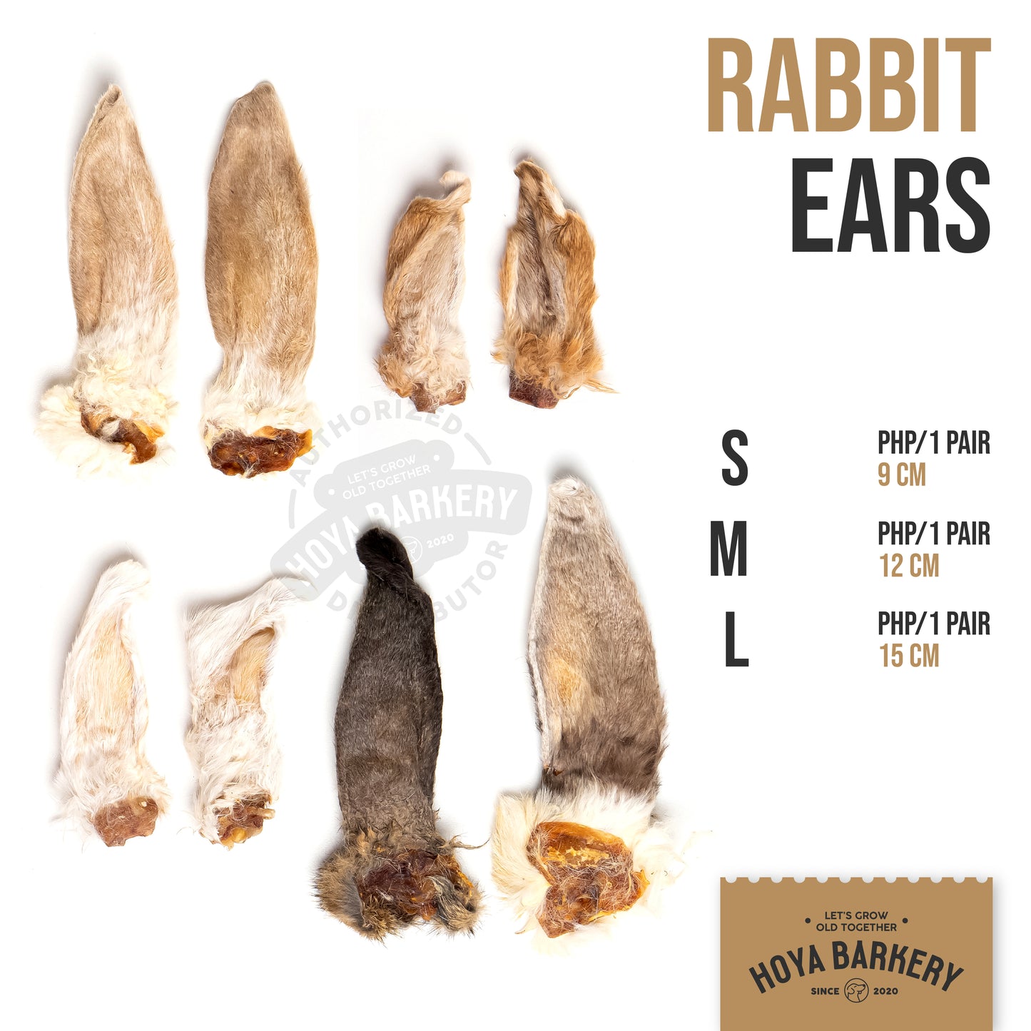 Hoya Barkery - Rabbit Ear (Pair)