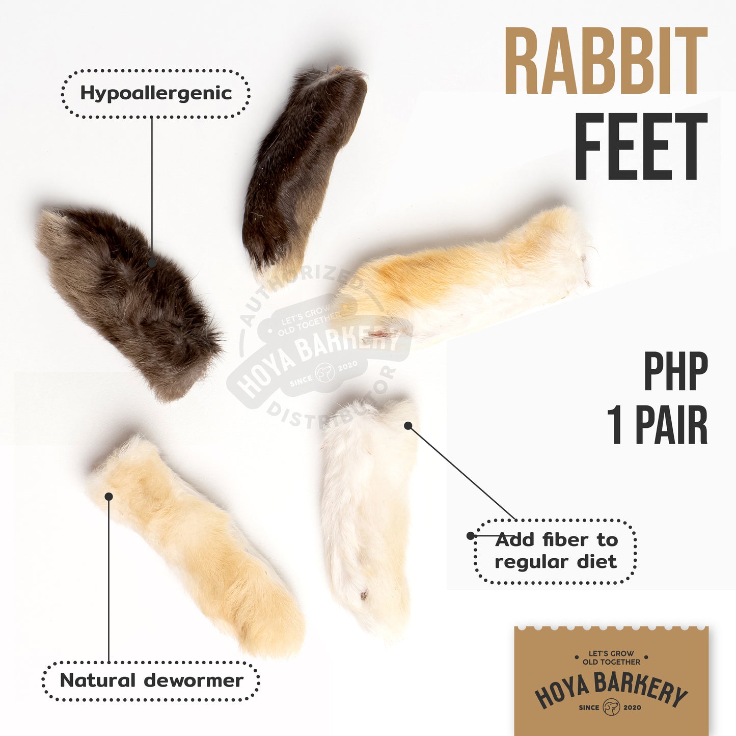 Hoya Barkery - Rabbit Foot