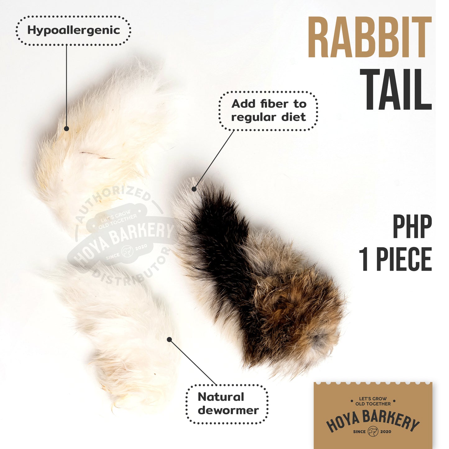 Hoya Barkery - Rabbit Tail