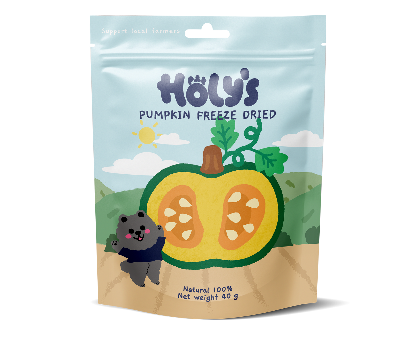 Holy's Pumpkin Freeze-Dried