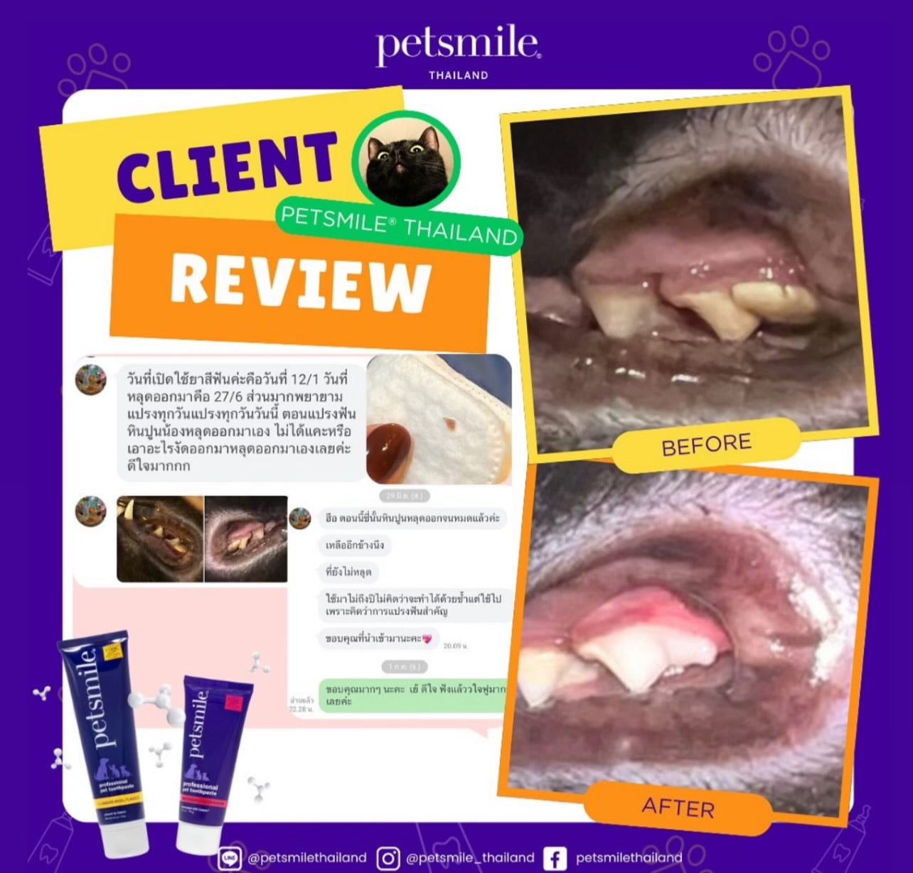 Petsmile - Dual Toothbrush