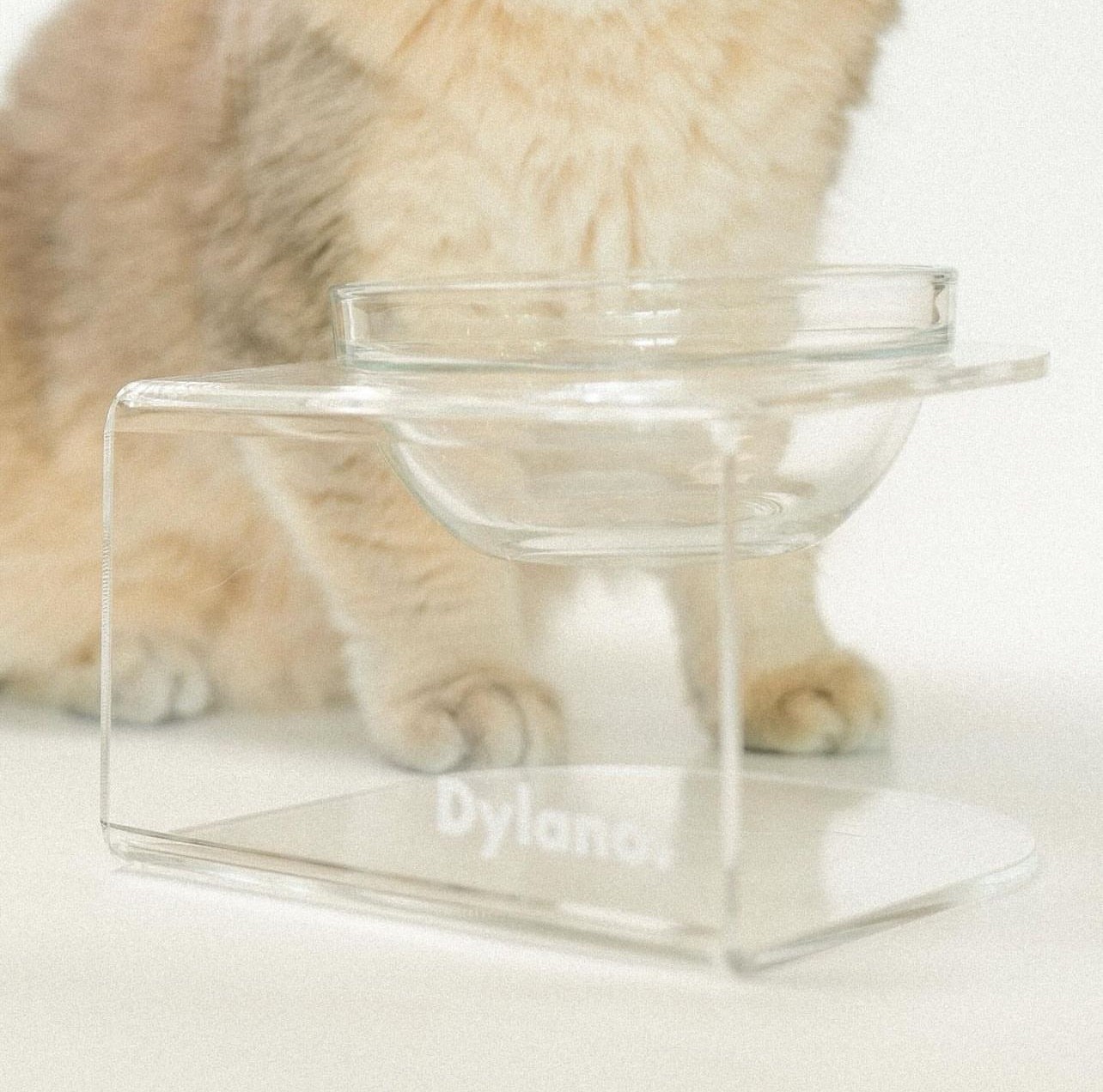 Dylano Studio - Elevated Single Bowl Iced in XS / Petite