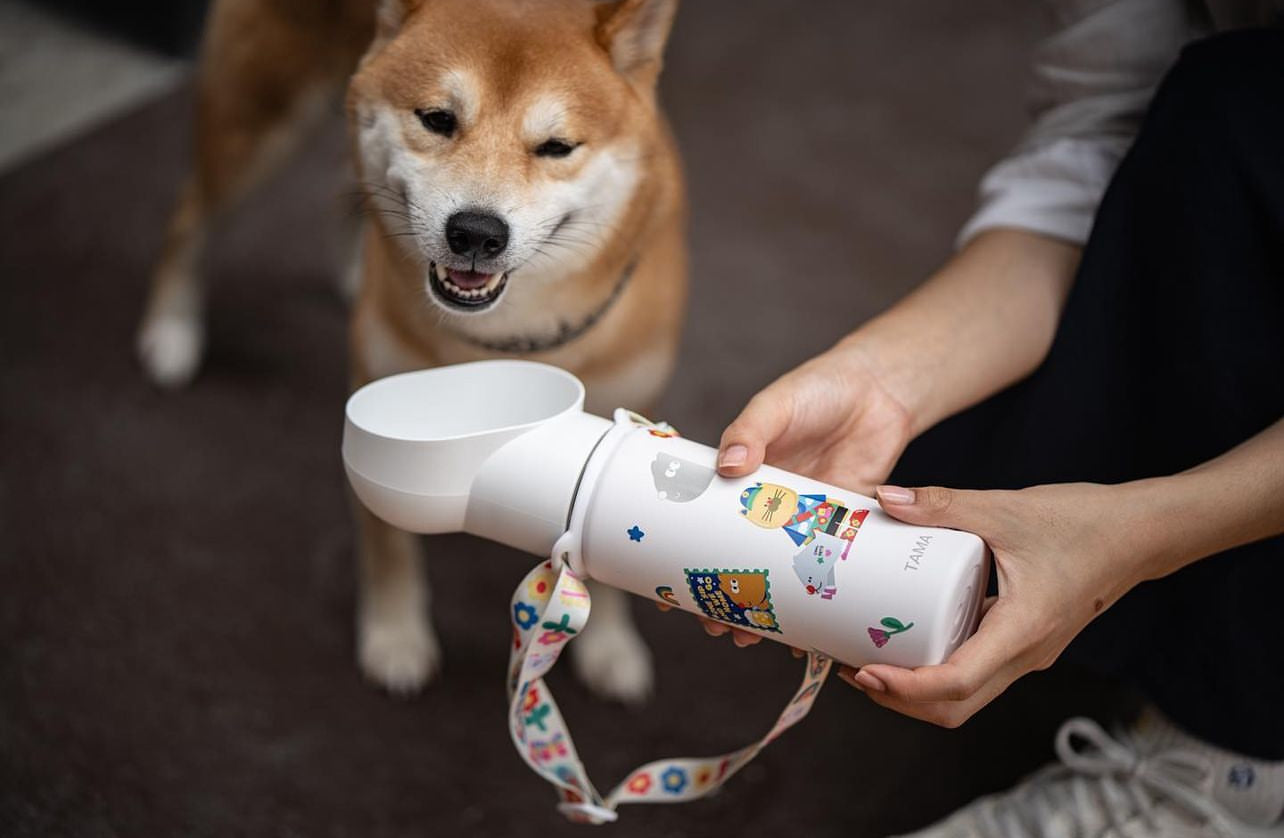 Dylano Studio - Ready to Sip Cooling Tumbler