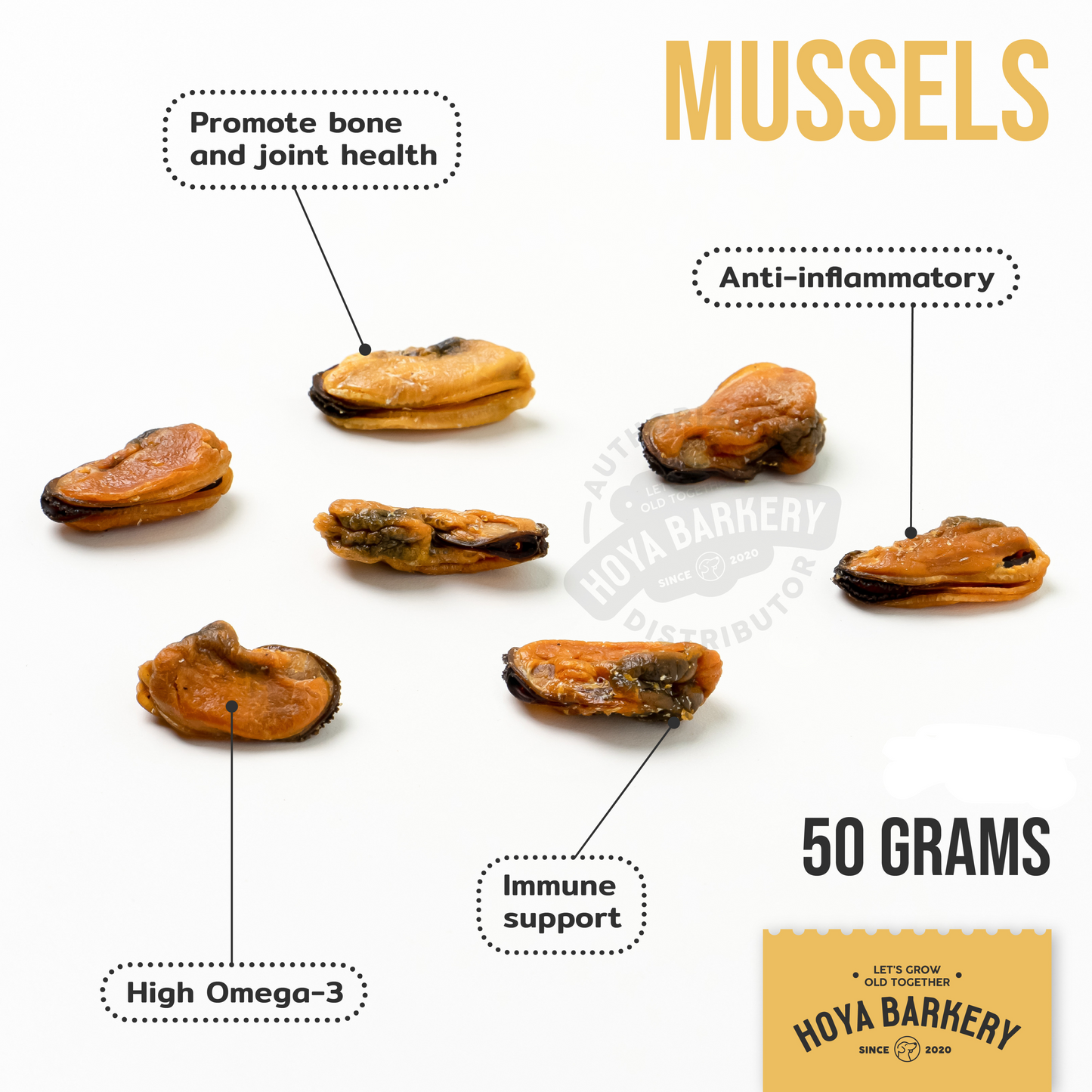 Hoya Barkery - Green-Lipped Mussels