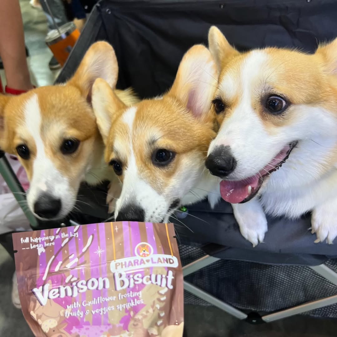 Three corgis in a cart with a Phararland Venison Biscuit package in the foreground.