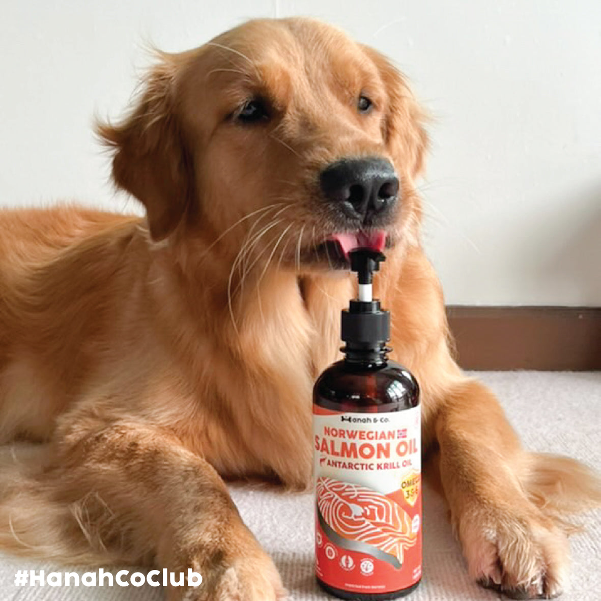 Hanah & Co - Salmon Krill Oil