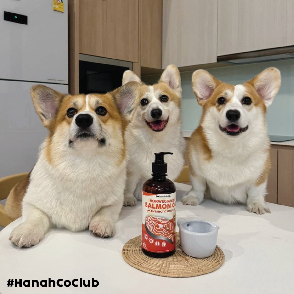 Hanah & Co - Salmon Krill Oil