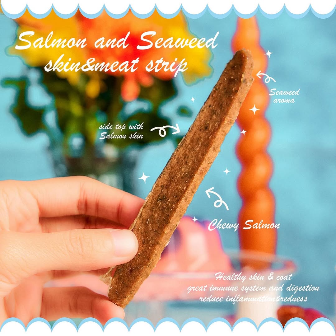 Hand holding a PharaLand Salmon and Seaweed Skin & Meat Strip. Chewy pet treat for healthy skin and coat.