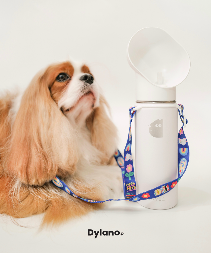 Dylano Studio - Ready to Sip Cooling Tumbler