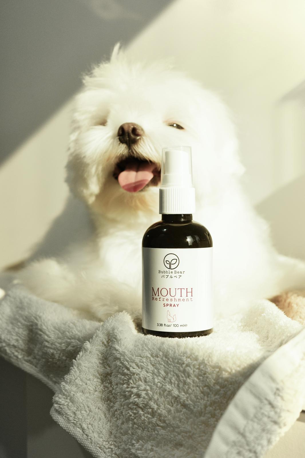 Bubble Bear Mouth Refreshment Spray