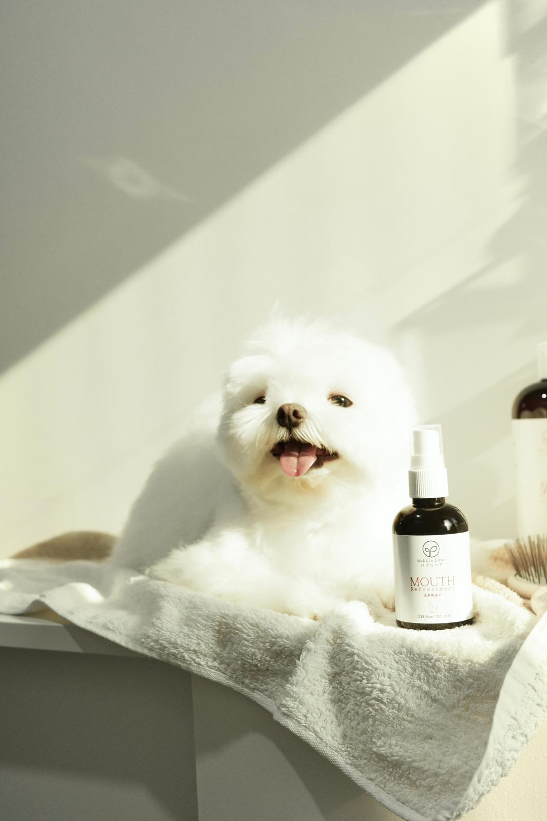 Bubble Bear Mouth Refreshment Spray