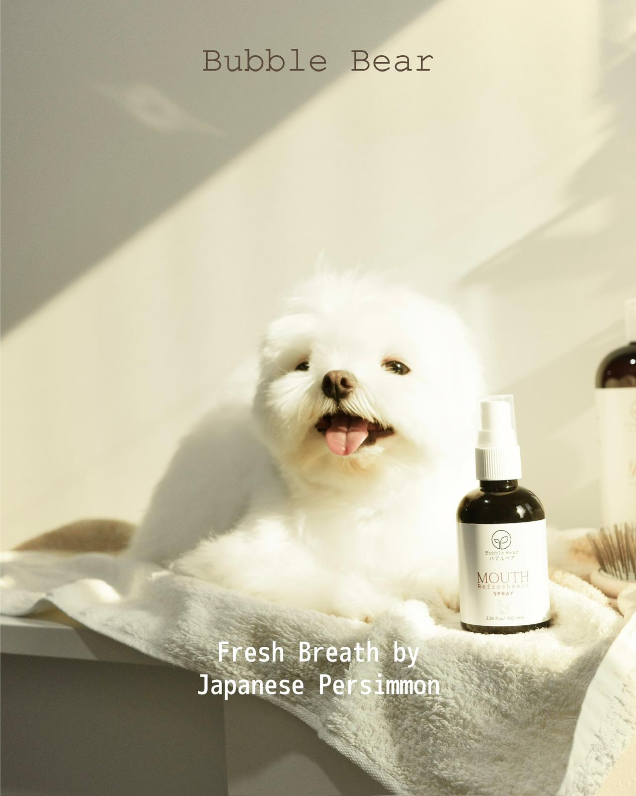 Bubble Bear Mouth Refreshment Spray