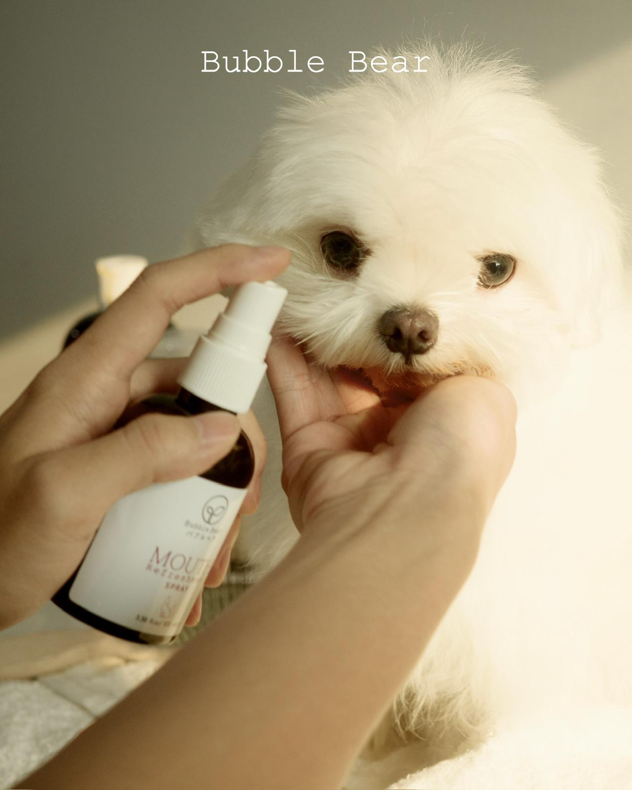 Bubble Bear Mouth Refreshment Spray