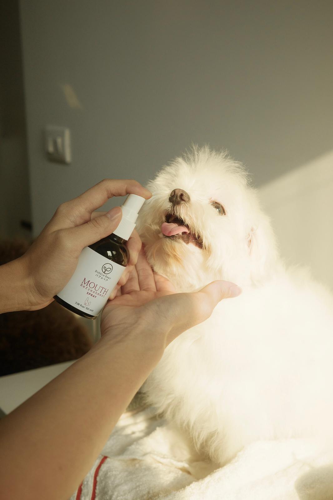 Bubble Bear Mouth Refreshment Spray