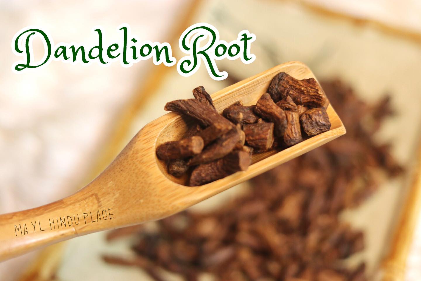 MA YL Hindu Place - Rabbit Snacks - Dandelion Root