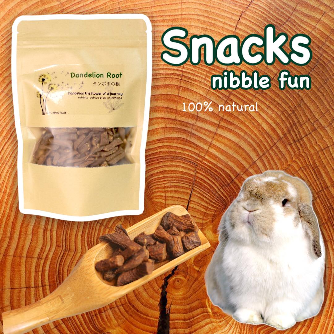 MA YL Hindu Place - Rabbit Snacks - Dandelion Root
