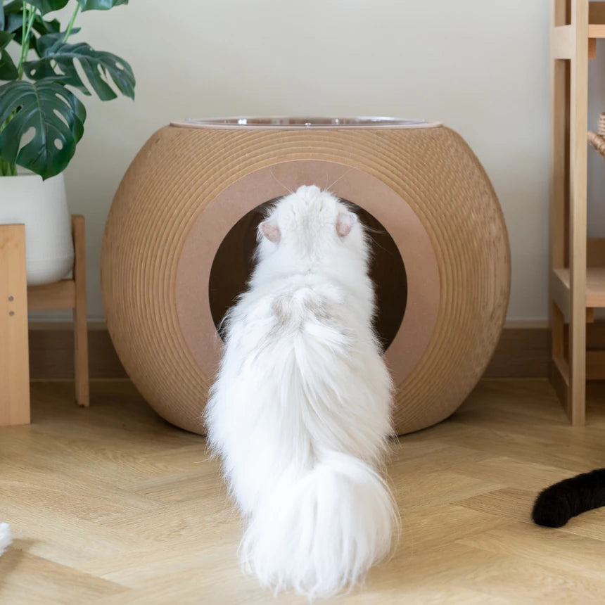 Carton Connection - Obitron