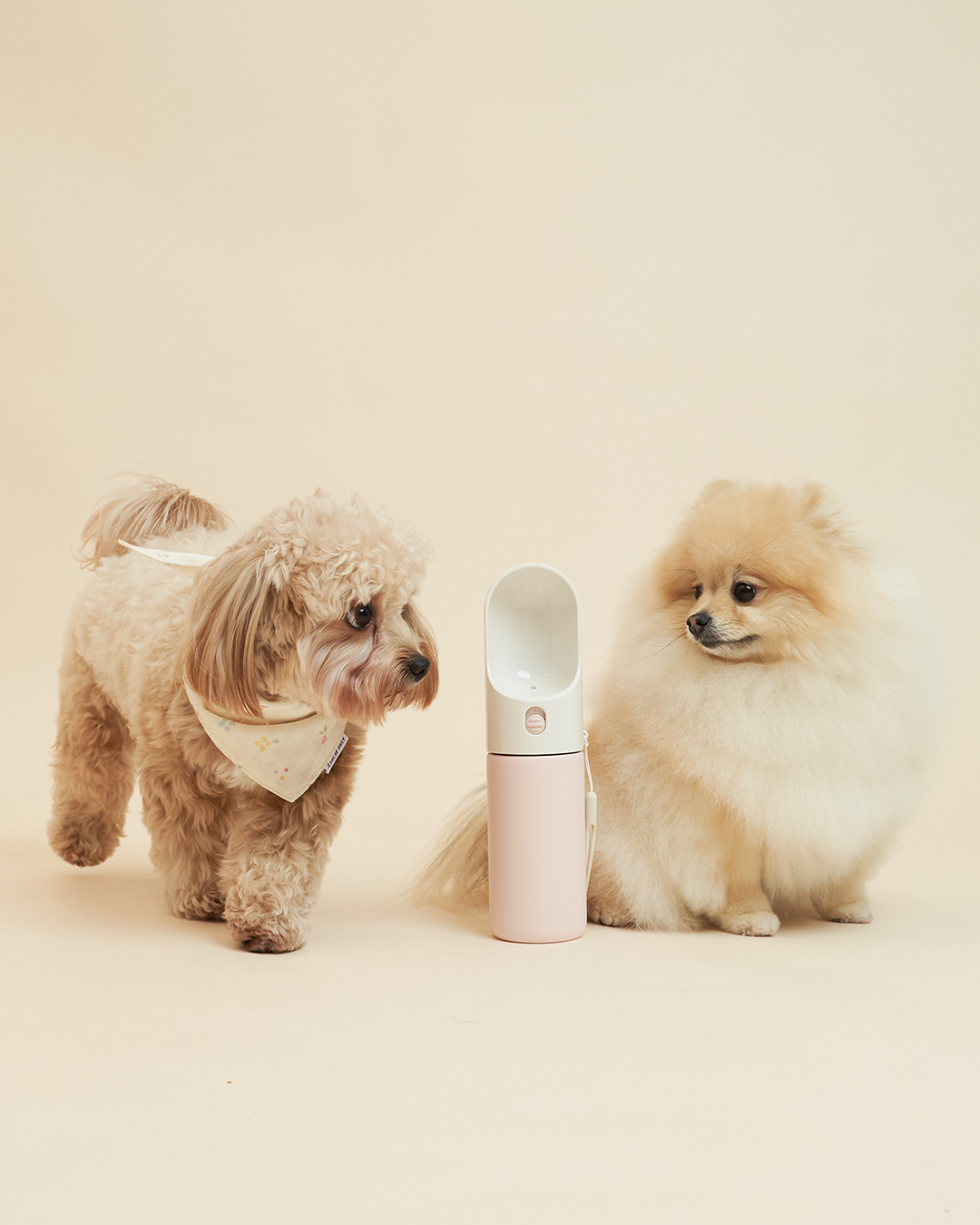 Oh Hello Travel Insulated Bottle