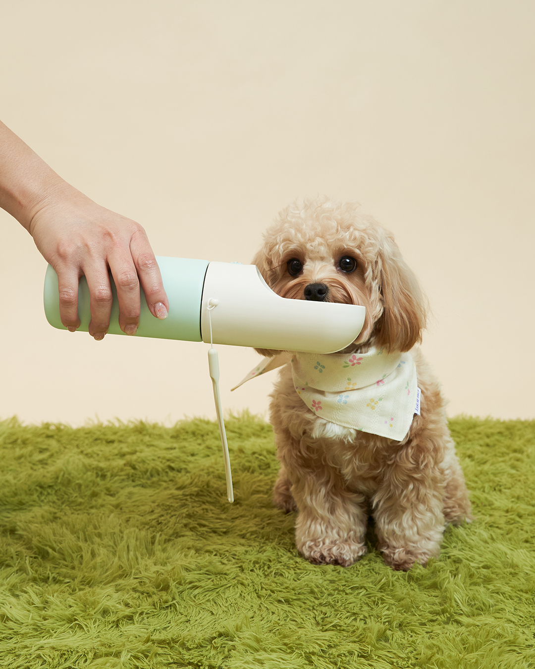 Oh Hello Travel Insulated Bottle