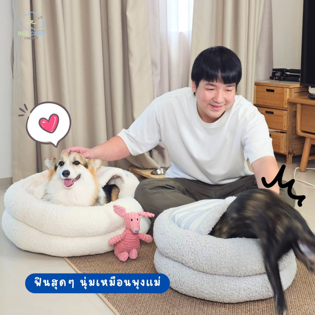 Bed Care for Pet - Salapao Bed