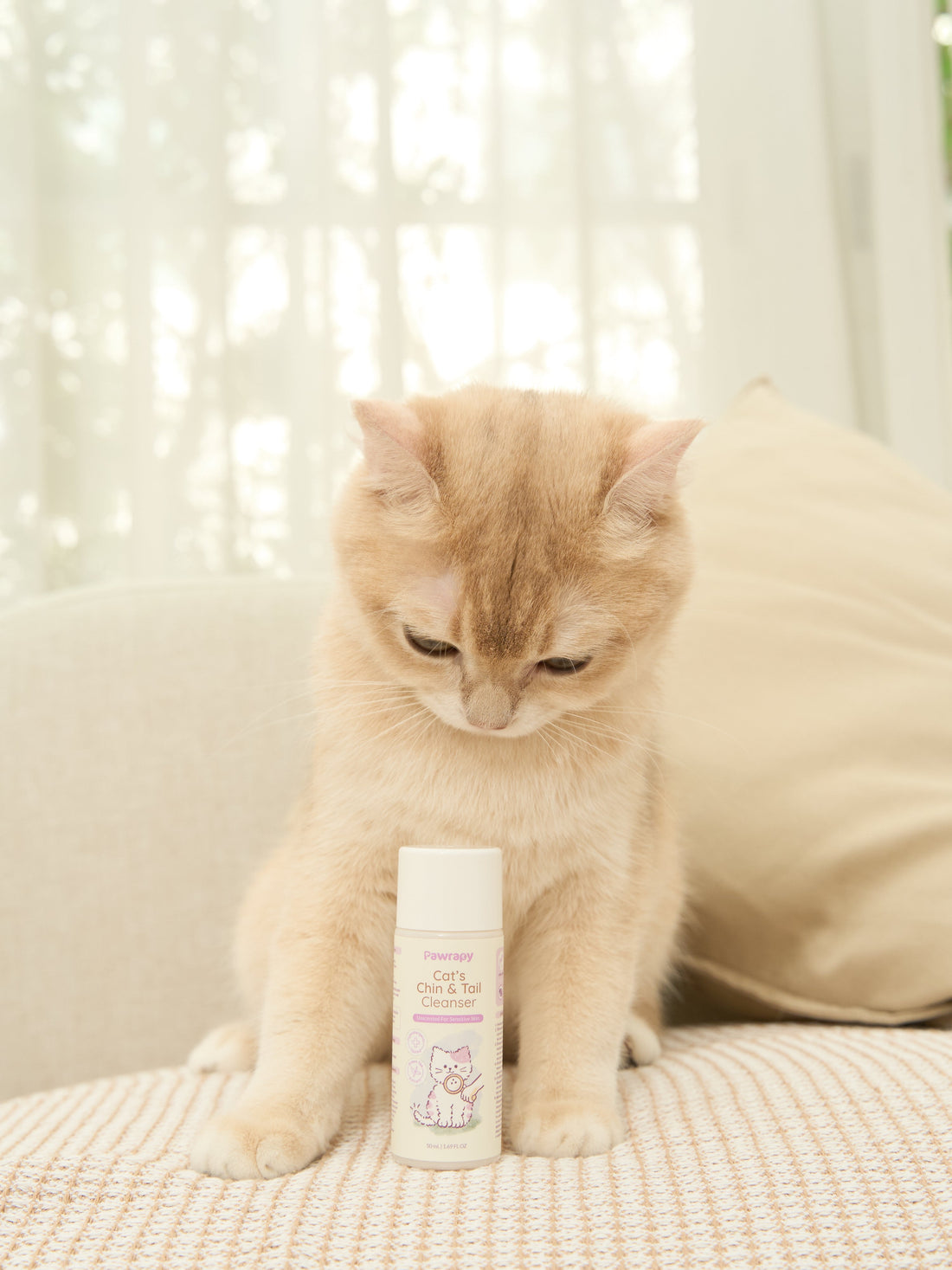Le Bubu Pets: The Philippines' Most Trusted Online Pet Store