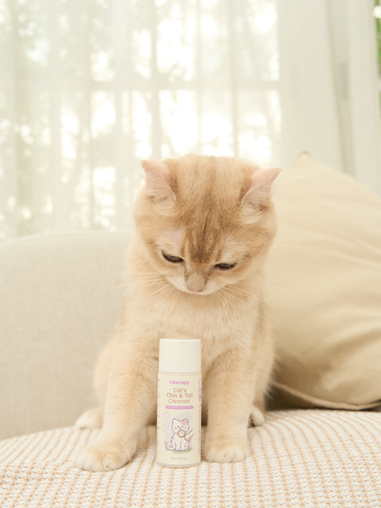 Le Bubu Pets: The Philippines' Most Trusted Online Pet Store