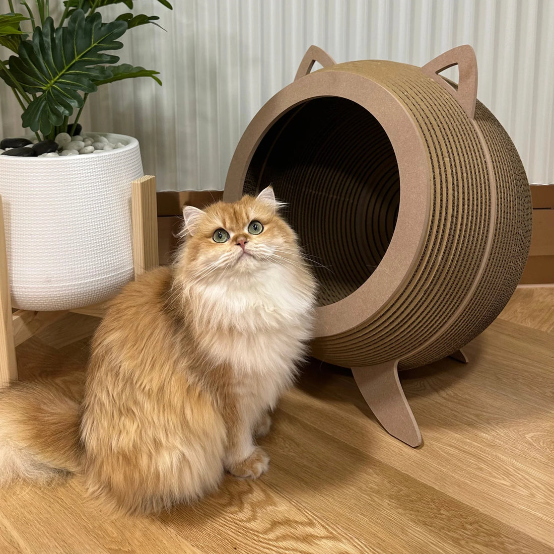 Carton Connection Catosphere designer cardboard cat scratcher and cat house, available at Le Bubu Pets Philippines