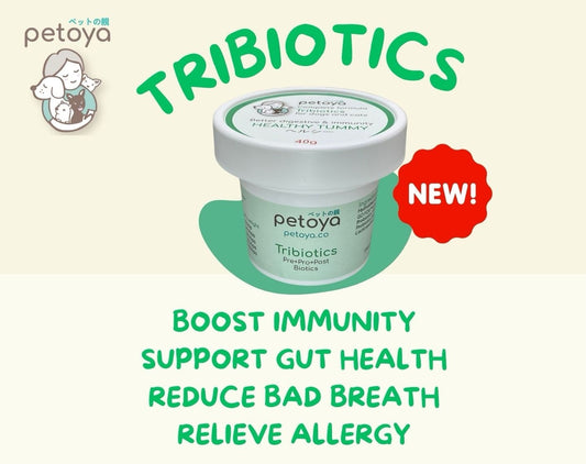 Petoya Tribiotics 3-in-1 pre, pro, and postbiotic gut health supplement for dogs and cats, available at Le Bubu Pets Philippines