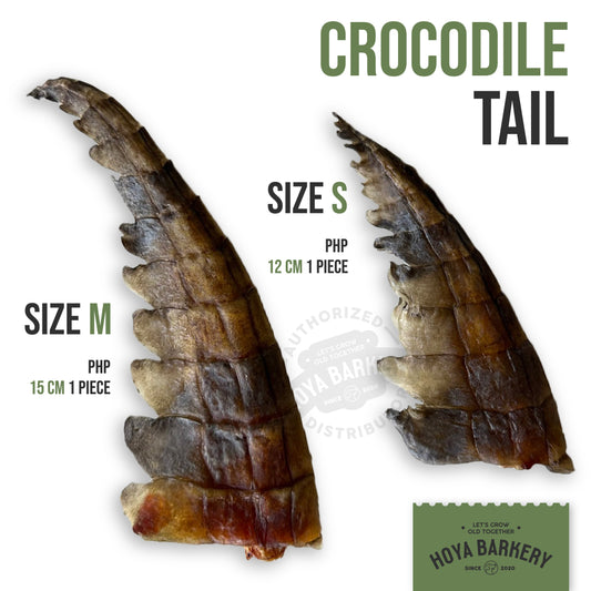 Hoya Barkery hypoallergenic crocodile tail chew, part of the Hoya Barkery corner at Le Bubu Pets' Super Barket shelf, 4F Spatio, Opus Mall