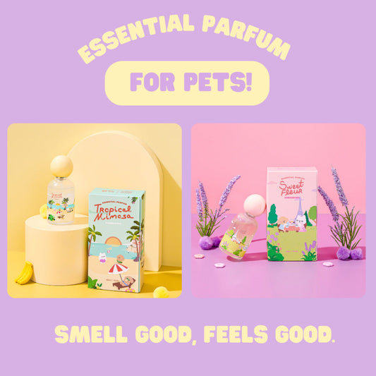 Furrday Pet 4-in-1 Essential Parfum in Sweet Fleur and Tropical Mimosa, available at Le Bubu Pets Philippines