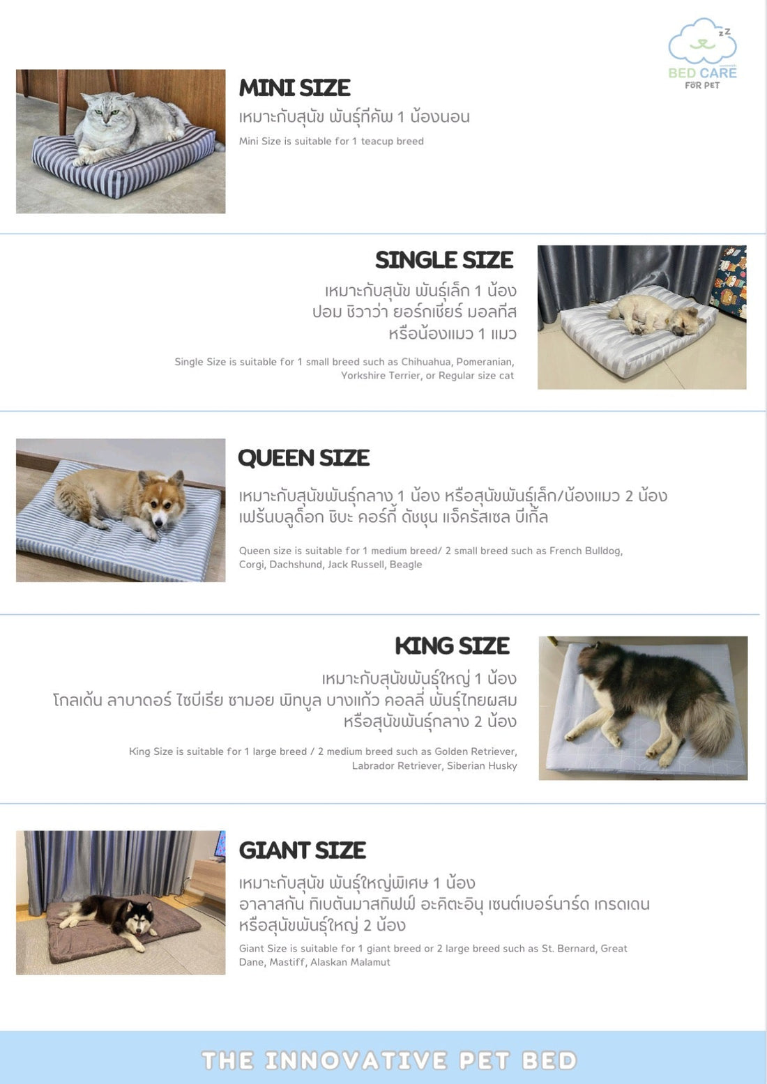 Bed Care for Pet Bed + Cover orthopedic cushion bed, part of the made-to-order pet bedding line at Le Bubu Pets Philippines