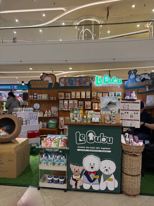 Le Bubu Pets Turns 2: How Two Bichon Frises Started a Nationwide Search for Honest Pet Products